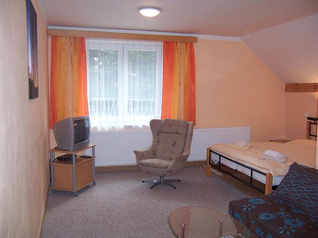 Penzion Certovy Kameny Jesenik Room photo